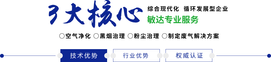 日本女生被爆焯流水网站直入敏达环保科技（嘉兴）有限公司